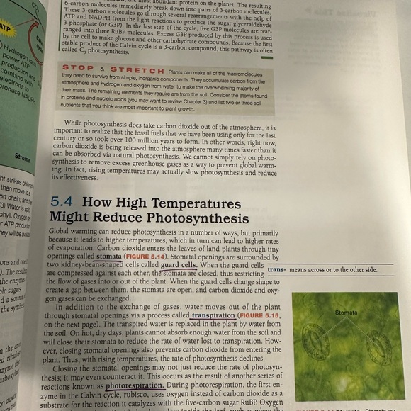 Biology Science for Life with Physiology Belk/Borden 2nd Ed. GRCC Comm College - Picture 10 of 15